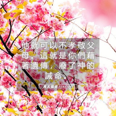 Picture 05 - 馬 太 福 音 15:6 CUVT - 他 就 可 以 不 孝 敬 父 母 。 這 就 - Bible Verse Picture
