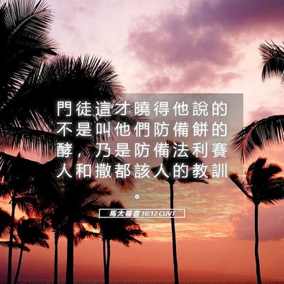 Picture 05 - 馬 太 福 音 16:12 CUVT - 門 徒 這 才 曉 得 他 說 的 不 是 叫 - Bible Verse Picture