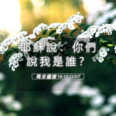 Picture 05 - 馬 太 福 音 16:15 CUVT - 耶 穌 說 ： 你 們 說 我 是 誰 - Bible Verse Picture