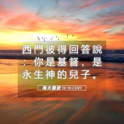 Picture 05 - 馬 太 福 音 16:16 CUVT - 西 門 彼 得 回 答 說 ： 你 是 基 督 - Bible Verse Picture