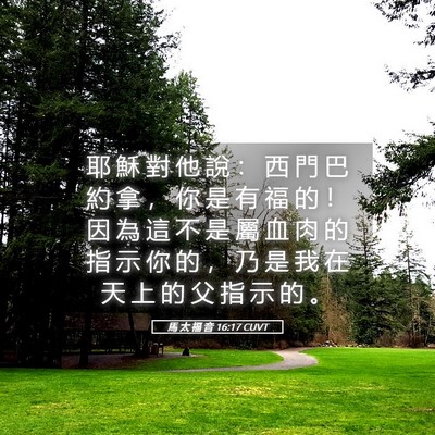 Picture 05 - 馬 太 福 音 16:17 CUVT - 耶 穌 對 他 說 ： 西 門 巴 約 拿 ， - Bible Verse Picture