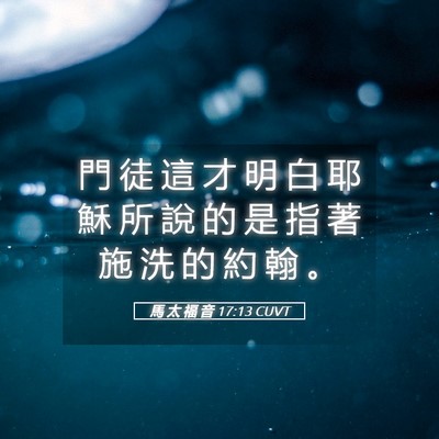 Picture 05 - 馬 太 福 音 17:13 CUVT - 門 徒 這 才 明 白 耶 穌 所 說 的 是 - Bible Verse Picture