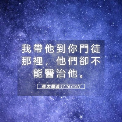 Picture 05 - 馬 太 福 音 17:16 CUVT - 我 帶 他 到 你 門 徒 那 裡 ， 他 們 - Bible Verse Picture