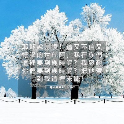 Picture 05 - 馬 太 福 音 17:17 CUVT - 耶 穌 說 ： 噯 ！ 這 又 不 信 又 悖 - Bible Verse Picture