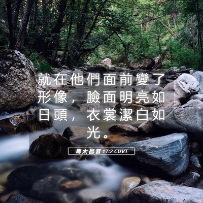 Picture 05 - 馬 太 福 音 17:2 CUVT - 就 在 他 們 面 前 變 了 形 像 ， 臉 - Bible Verse Picture