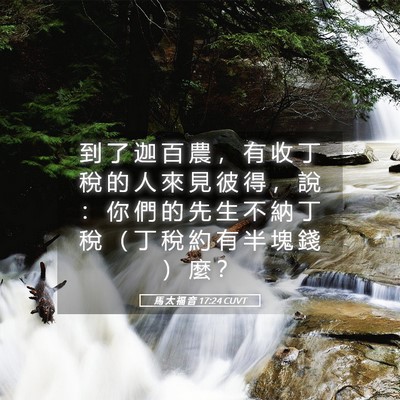 Picture 05 - 馬 太 福 音 17:24 CUVT - 到 了 迦 百 農 ， 有 收 丁 稅 的 人 - Bible Verse Picture