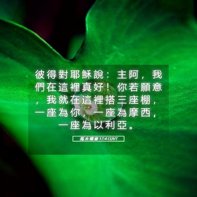 Picture 05 - 馬 太 福 音 17:4 CUVT - 彼 得 對 耶 穌 說 ： 主 阿 ， 我 們 - Bible Verse Picture