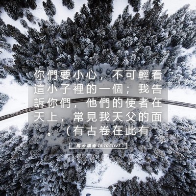 Picture 05 - 馬 太 福 音 18:10 CUVT - 你 們 要 小 心 ， 不 可 輕 看 這 小 - Bible Verse Picture