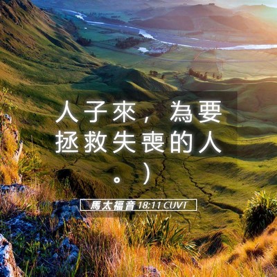 Picture 05 - 馬 太 福 音 18:11 CUVT - 人 子 來 ， 為 要 拯 救 失 喪 的 人 - Bible Verse Picture