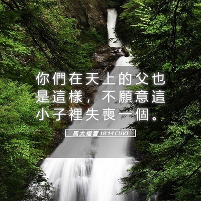 Picture 05 - 馬 太 福 音 18:14 CUVT - 你 們 在 天 上 的 父 也 是 這 樣 ， - Bible Verse Picture