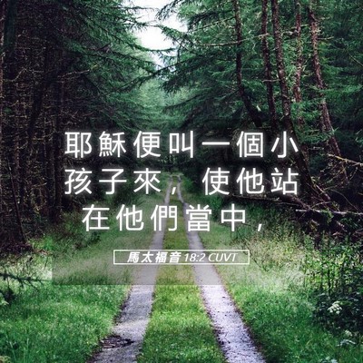Picture 05 - 馬 太 福 音 18:2 CUVT - 耶 穌 便 叫 一 個 小 孩 子 來 ， 使 - Bible Verse Picture