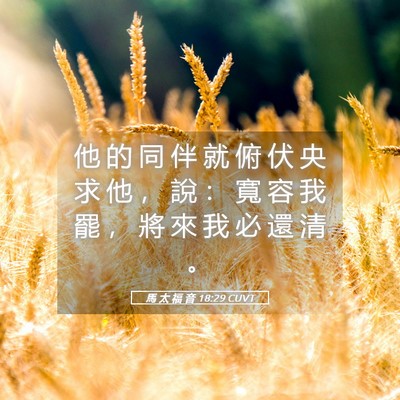Picture 05 - 馬 太 福 音 18:29 CUVT - 他 的 同 伴 就 俯 伏 央 求 他 ， 說 - Bible Verse Picture