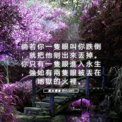 Picture 05 - 馬 太 福 音 18:9 CUVT - 倘 若 你 一 隻 眼 叫 你 跌 倒 ， 就 - Bible Verse Picture