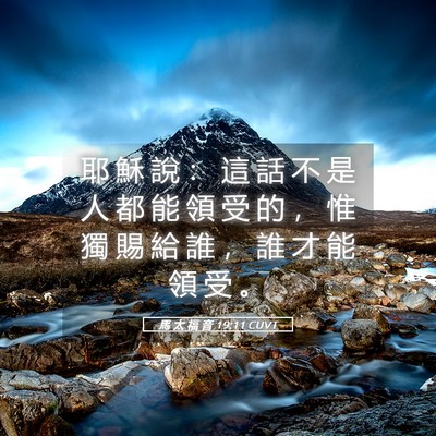 Picture 05 - 馬 太 福 音 19:11 CUVT - 耶 穌 說 ： 這 話 不 是 人 都 能 領 - Bible Verse Picture