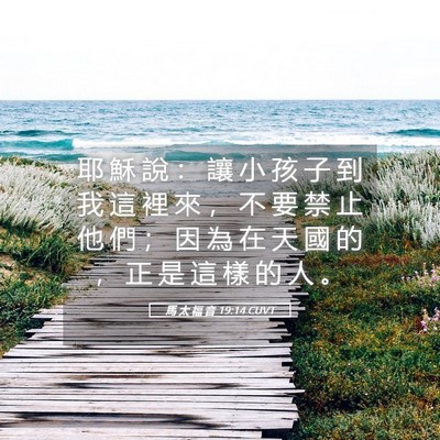 Picture 05 - 馬 太 福 音 19:14 CUVT - 耶 穌 說 ： 讓 小 孩 子 到 我 這 裡 - Bible Verse Picture