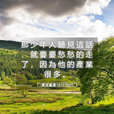 Picture 05 - 馬 太 福 音 19:22 CUVT - 那 少 年 人 聽 見 這 話 ， 就 憂 憂 - Bible Verse Picture