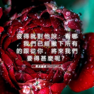 Picture 05 - 馬 太 福 音 19:27 CUVT - 彼 得 就 對 他 說 ： 看 哪 ， 我 們 - Bible Verse Picture
