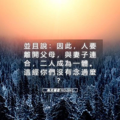 Picture 05 - 馬 太 福 音 19:5 CUVT - 並 且 說 ： 因 此 ， 人 要 離 開 父 - Bible Verse Picture