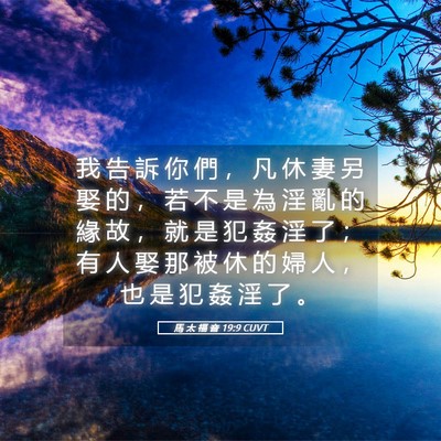 Picture 05 - 馬 太 福 音 19:9 CUVT - 我 告 訴 你 們 ， 凡 休 妻 另 娶 的 - Bible Verse Picture