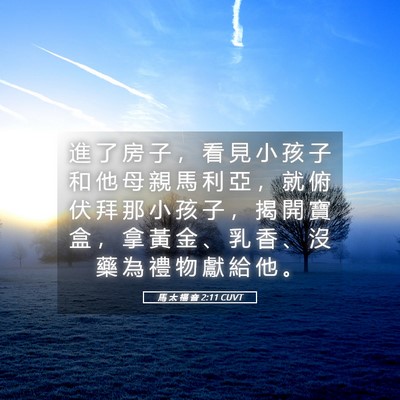 Picture 05 - 馬 太 福 音 2:11 CUVT - 進 了 房 子 ， 看 見 小 孩 子 和 他 - Bible Verse Picture