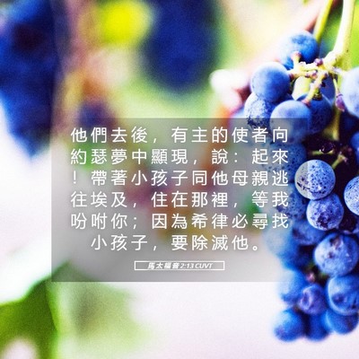 Picture 05 - 馬 太 福 音 2:13 CUVT - 他 們 去 後 ， 有 主 的 使 者 向 約 - Bible Verse Picture