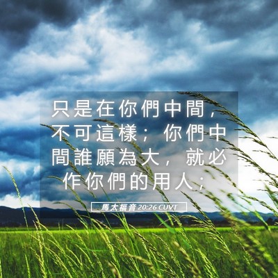 Picture 05 - 馬 太 福 音 20:26 CUVT - 只 是 在 你 們 中 間 ， 不 可 這 樣 - Bible Verse Picture
