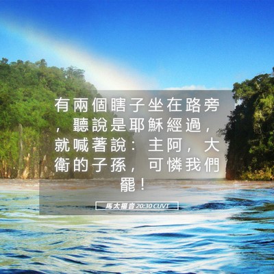 Picture 05 - 馬 太 福 音 20:30 CUVT - 有 兩 個 瞎 子 坐 在 路 旁 ， 聽 說 - Bible Verse Picture
