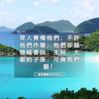 Picture 05 - 馬 太 福 音 20:31 CUVT - 眾 人 責 備 他 們 ， 不 許 他 們 作 - Bible Verse Picture