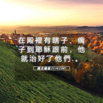 Picture 05 - 馬 太 福 音 21:14 CUVT - 在 殿 裡 有 瞎 子 、 瘸 子 到 耶 穌 - Bible Verse Picture
