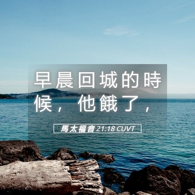 Picture 05 - 馬 太 福 音 21:18 CUVT - 早 晨 回 城 的 時 候 ， 他 餓 了 - Bible Verse Picture
