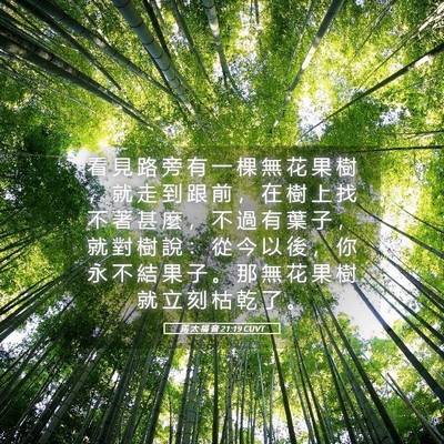 Picture 05 - 馬 太 福 音 21:19 CUVT - 看 見 路 旁 有 一 棵 無 花 果 樹 ， - Bible Verse Picture