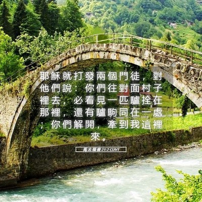 Picture 05 - 馬 太 福 音 21:2 CUVT - 耶 穌 就 打 發 兩 個 門 徒 ， 對 他 - Bible Verse Picture