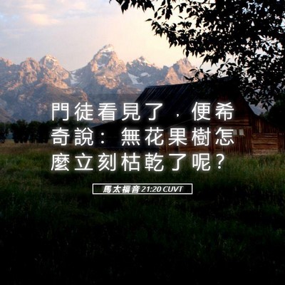 Picture 05 - 馬 太 福 音 21:20 CUVT - 門 徒 看 見 了 ﹐ 便 希 奇 說 ： 無 - Bible Verse Picture