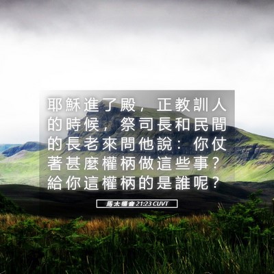 Picture 05 - 馬 太 福 音 21:23 CUVT - 耶 穌 進 了 殿 ， 正 教 訓 人 的 時 - Bible Verse Picture