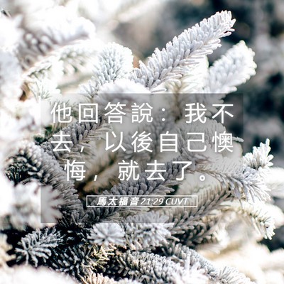 Picture 05 - 馬 太 福 音 21:29 CUVT - 他 回 答 說 ： 我 不 去 ， 以 後 自 - Bible Verse Picture