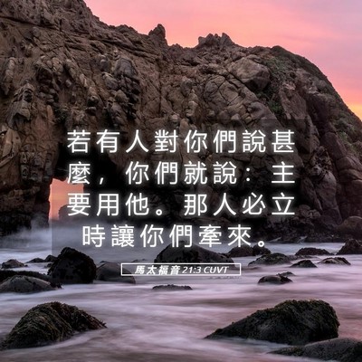 Picture 05 - 馬 太 福 音 21:3 CUVT - 若 有 人 對 你 們 說 甚 麼 ， 你 們 - Bible Verse Picture
