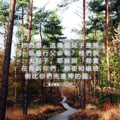 Picture 05 - 馬 太 福 音 21:31 CUVT - 你 們 想 ， 這 兩 個 兒 子 是 那 一 - Bible Verse Picture