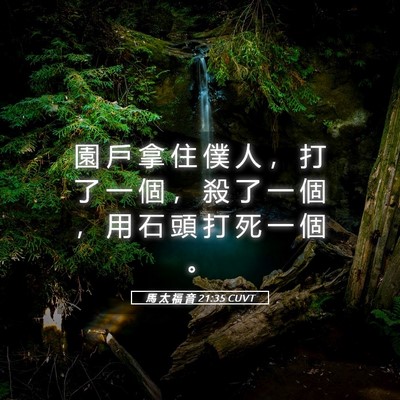 Picture 05 - 馬 太 福 音 21:35 CUVT - 園 戶 拿 住 僕 人 ， 打 了 一 個 ， - Bible Verse Picture