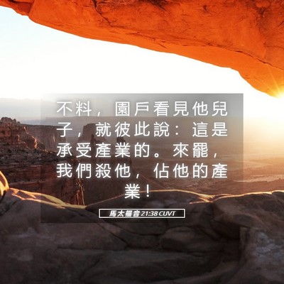 Picture 05 - 馬 太 福 音 21:38 CUVT - 不 料 ， 園 戶 看 見 他 兒 子 ， 就 - Bible Verse Picture