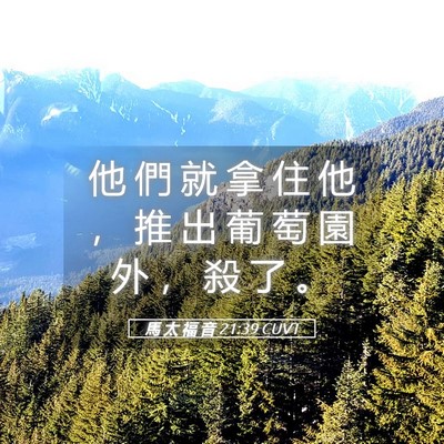 Picture 05 - 馬 太 福 音 21:39 CUVT - 他 們 就 拿 住 他 ， 推 出 葡 萄 園 - Bible Verse Picture