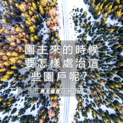 Picture 05 - 馬 太 福 音 21:40 CUVT - 園 主 來 的 時 候 要 怎 樣 處 治 這 - Bible Verse Picture