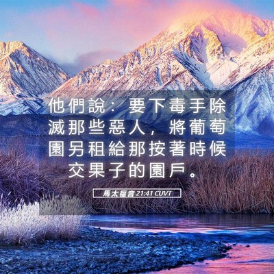 Picture 05 - 馬 太 福 音 21:41 CUVT - 他 們 說 ： 要 下 毒 手 除 滅 那 些 - Bible Verse Picture