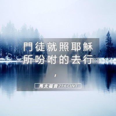 Picture 05 - 馬 太 福 音 21:6 CUVT - 門 徒 就 照 耶 穌 所 吩 咐 的 去 行 - Bible Verse Picture