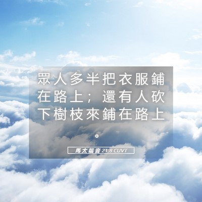 Picture 05 - 馬 太 福 音 21:8 CUVT - 眾 人 多 半 把 衣 服 鋪 在 路 上 ； - Bible Verse Picture