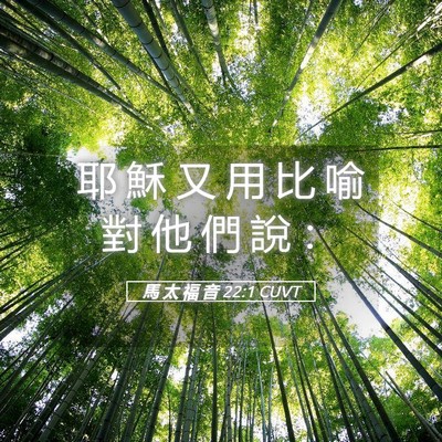 Picture 05 - 馬 太 福 音 22:1 CUVT - 耶 穌 又 用 比 喻 對 他 們 說 - Bible Verse Picture