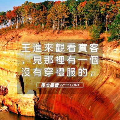 Picture 05 - 馬 太 福 音 22:11 CUVT - 王 進 來 觀 看 賓 客 ， 見 那 裡 有 - Bible Verse Picture