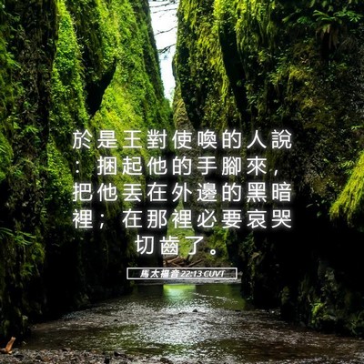 Picture 05 - 馬 太 福 音 22:13 CUVT - 於 是 王 對 使 喚 的 人 說 ： 捆 起 - Bible Verse Picture