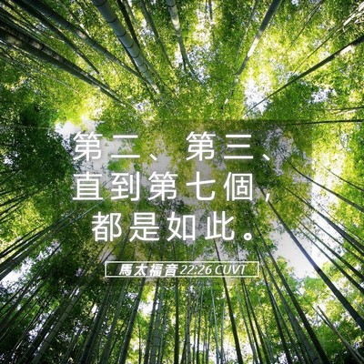 Picture 05 - 馬 太 福 音 22:26 CUVT - 第 二 、 第 三 、 直 到 第 七 個 ， - Bible Verse Picture