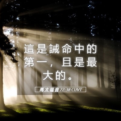 Picture 05 - 馬 太 福 音 22:38 CUVT - 這 是 誡 命 中 的 第 一 ， 且 是 最 - Bible Verse Picture
