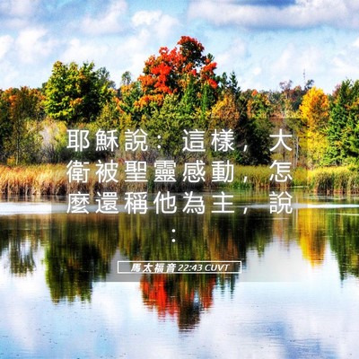 Picture 05 - 馬 太 福 音 22:43 CUVT - 耶 穌 說 ： 這 樣 ， 大 衛 被 聖 靈 - Bible Verse Picture